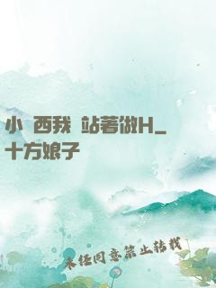 小東西我們站著做H