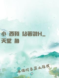 小東西我們站著做H
