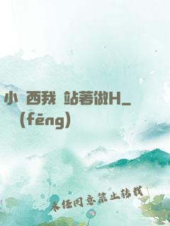 小東西我們站著做H
