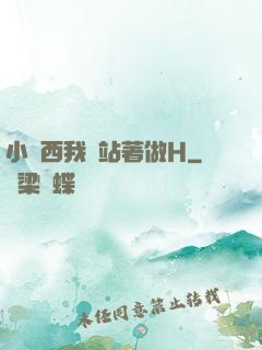 小東西我們站著做H