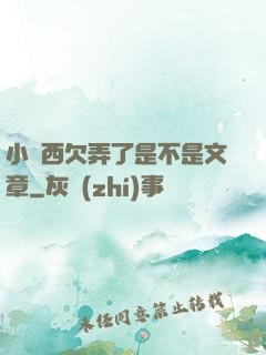 小東西欠弄了是不是文章