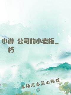 小游戲公司的小老板