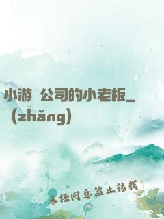 小游戲公司的小老板