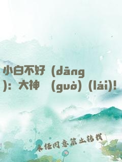 小白不好當(dāng)：大神別過(guò)來(lái)！