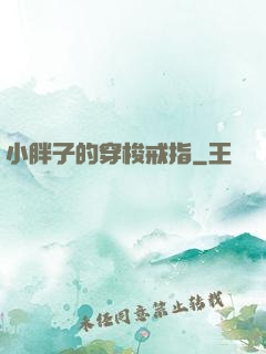 小胖子的穿梭戒指