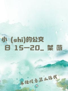 小詩(shī)的公交車日記15一20