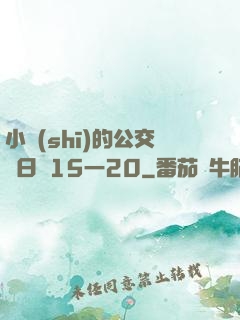 小詩(shī)的公交車日記15一20
