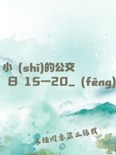 小詩(shī)的公交車日記15一20