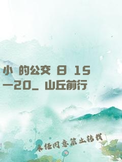 小詩的公交車日記15一20