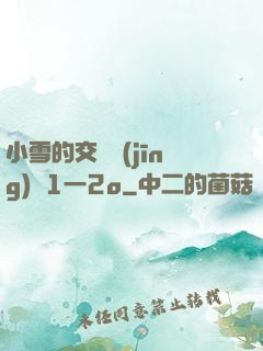 小雪的交換經(jīng)歷1一2o