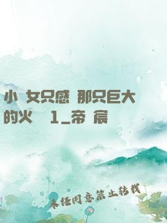 小龍女只感覺那只巨大的火龍槍1