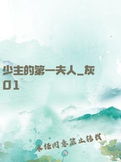 少主的第一夫人