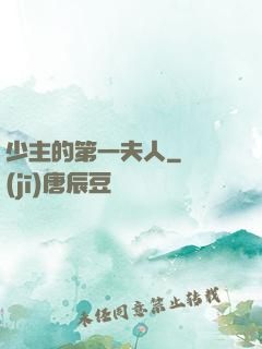 少主的第一夫人