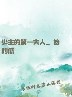少主的第一夫人