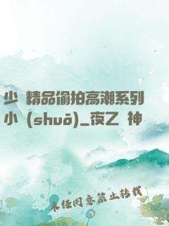 少婦精品偷拍高潮系列小說(shuō)