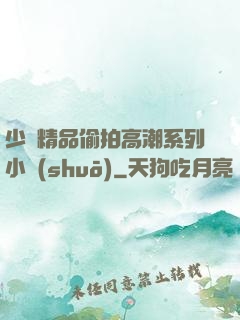 少婦精品偷拍高潮系列小說(shuō)