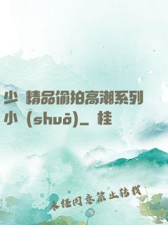 少婦精品偷拍高潮系列小說(shuō)