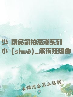 少婦精品偷拍高潮系列小說(shuō)