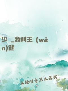 少帥