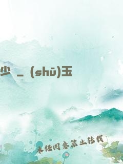 少帥