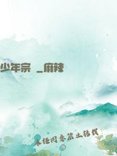 少年宗師