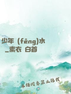少年風(fēng)水師