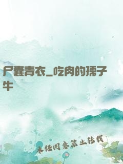 尸囊青衣