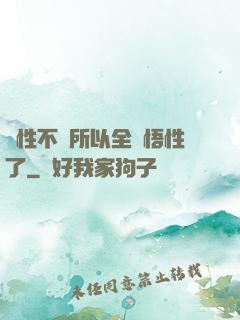 屬性不夠所以全點悟性了