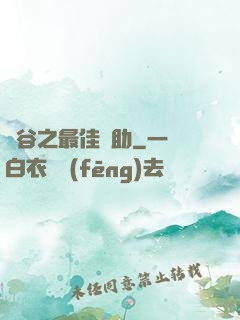 峽谷之最佳輔助
