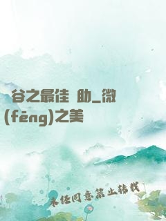 峽谷之最佳輔助