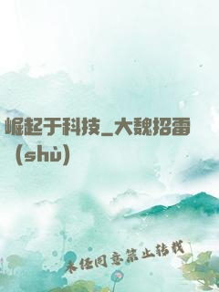 崛起于科技