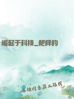 崛起于科技