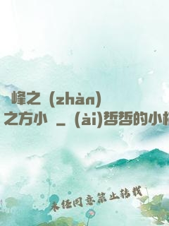 巔峰之戰(zhàn)之方小曉