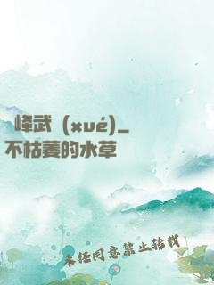 巔峰武學(xué)
