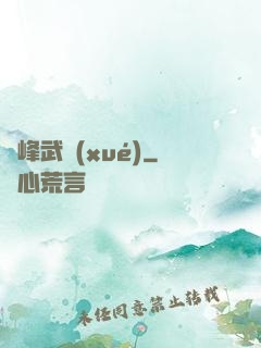 巔峰武學(xué)