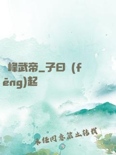 巔峰武帝