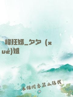 巔峰狂婿