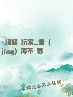 巔峰超級玩家