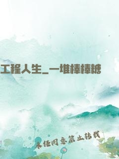 工程人生