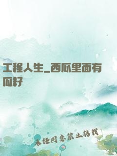 工程人生