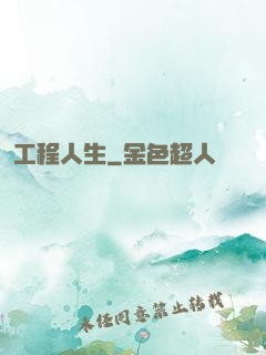 工程人生