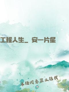 工程人生