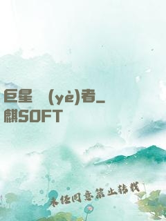 巨星從業(yè)者