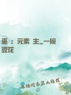 巫師：元素領主