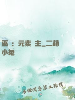 巫師：元素領主