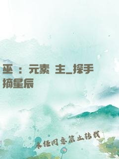 巫師：元素領主