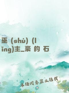 巫術(shù)領(lǐng)主