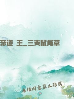 帝道為王
