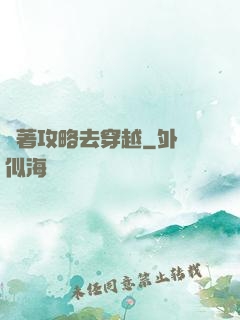 帶著攻略去穿越