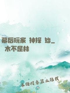幕后玩家從神探開始